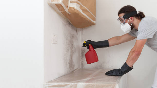 Professional Bathroom Mold Removal technician working in Moon, VA