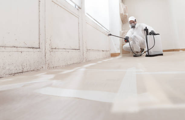 24/7 Emergency Bathroom Mold Removal experts in Moon, VA